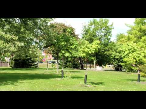 Final Cut Pro Video Montage to Kaki King's Gay Sons of Lesbian Mothers