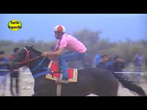 Gauchita. Hip. EL CARDON. 09.09.2017