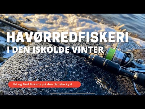 Havørredfiskeri i den iskolde vinter