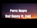 Bad Bunny - Perro Negro  (ft. Feid) (Letra/Lyrics)