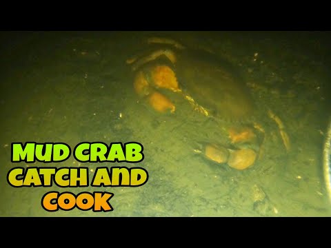 Pangingilaw ng Alimango Part 1