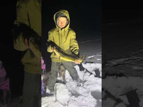 Catching Burbot through the Ice
