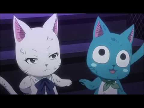 Fairy Tail Ships Cappy Carla X Happy Wattpad Fairy Tail Ships Cappy Carla X Happy Wattpad