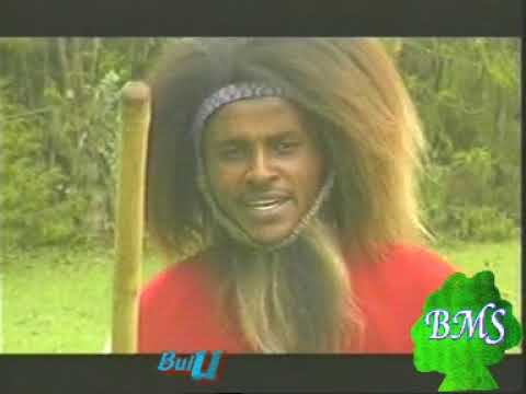 Taayyee Warquu - turee tiyya