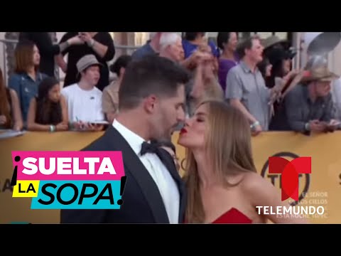 download lagu mp3 mp4 Sofia Vergara Ultimas Noticias, download lagu Sofia Vergara Ultimas Noticias gratis, unduh video klip Sofia Vergara Ultimas Noticias