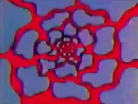 The Dolly Rocker Movement - Girl Of The 13th Hour