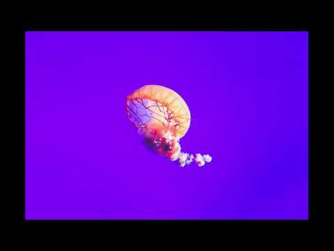 [FREE] "Wave" Post malone x Drake | Free Type Beat | Rap /Trap Instrumental 2019