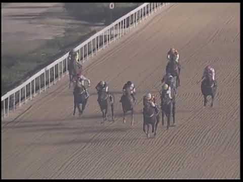 2018-12-14 Macau Meeting Race 5(0095) - THE NAVAN