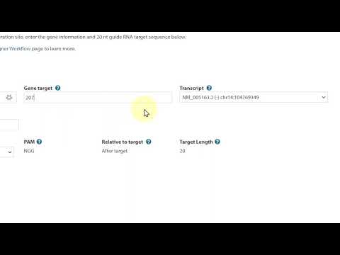HDR Donor Designer for DNA insertion using ssDNA donor oligo