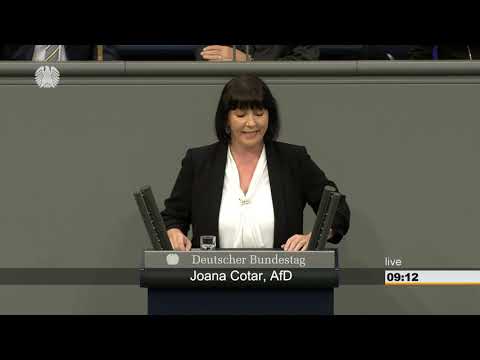 Joana Cotar: Umsetzungsstrategie Digitalisierung [Bundestag 21.02.2019]