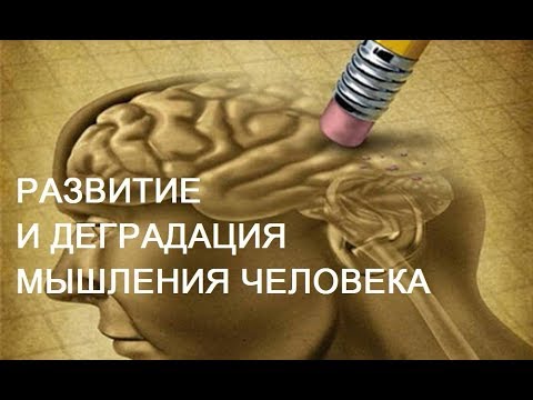 Развитие и деградация мышления человека. Александр Белов