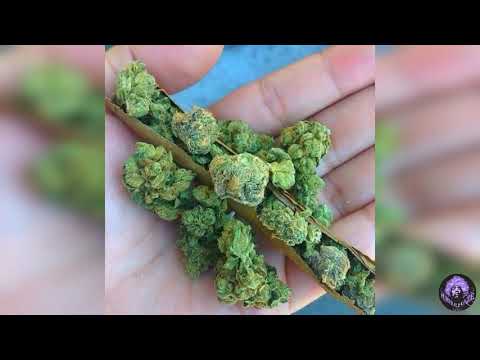 KSNICOV (KS76) - NIE DAJ SIĘ ZŁAPAĆ (MBT 2015) G13 [SMB EDIT]