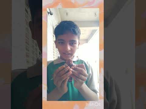 OMG yellow snickers is best.     second video is everything car don't miss by guys