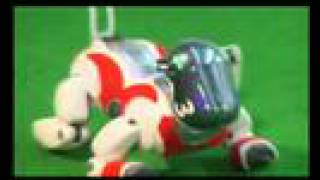 Roadking - Only Electro Music
