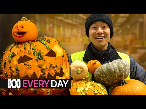 Are Halloween pumpkins edible and what's the best way to carve them? | ABC Australia