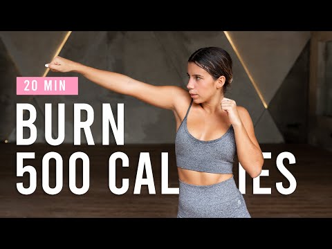 BURN 500 CALORIES with this 20 Minute Cardio Workout | HIIT Workout At Home