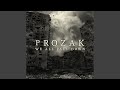 Prozak – Catacomb | We All Fall Down