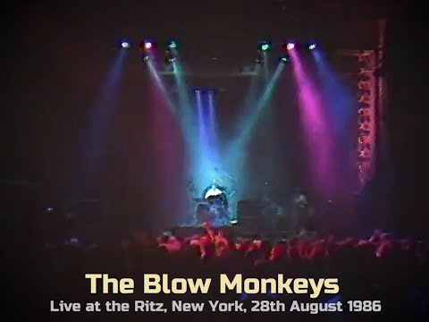 The Blow Monkeys live at the Ritz, New York, 28th August 1986