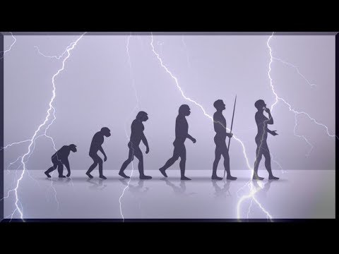 The Evolution Of Humans | Science Full Documentary