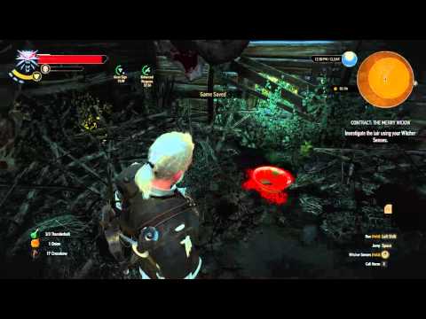 Let's Play: The Witcher 3: Wild Hunt Part 66