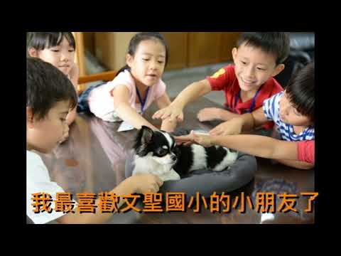 文聖暖心小天使-小V-新北市110年校園犬貓影片網路票選活動