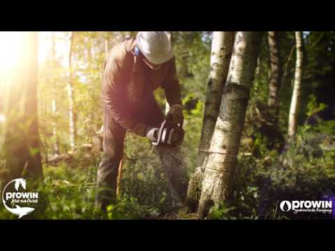 proWIN MILLIONENDING