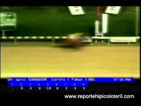 Resumen Viernes 28 de Octubre de 2011 - Valencia