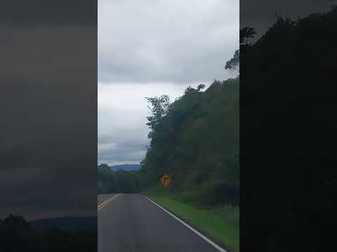 olha só isso a natureza perto de pirai do Sul PR #cidadesturisticas