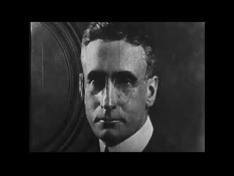 Husky Rescue - Sleep tight tiger (Fan made)