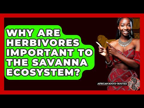 Why Are Herbivores Important To The Savanna Ecosystem? - African Roots And Routes