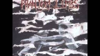 The Phantom Limbs - Wrenches And Spoons