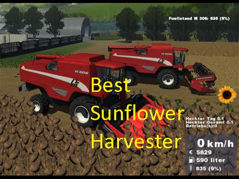 Best combine for sunflower harvesting in Farming Simulator