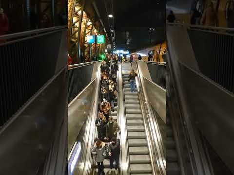 Amsterdam Today | Central Station Platform 1(Escalator from/to the Train) Sat 29 Jan 2022 | 07:30 pm
