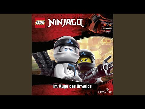 Kapitel 12: Im Auge des Urwalds (Folge 80)