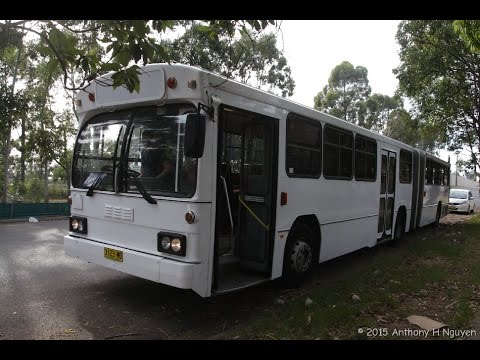 Bankstown Coaches [Greenacre] Mercedes-Benz O305G / PMC Mk 3, 3123 MO (2576)
