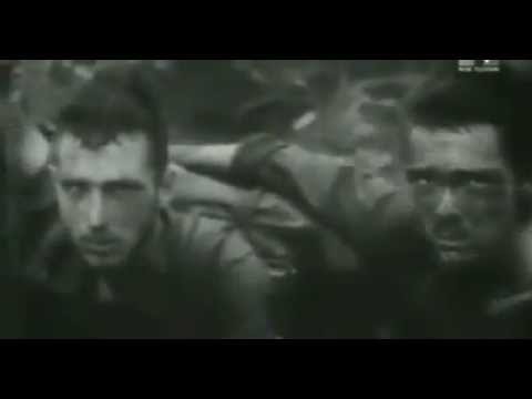 Il Grande Dittatore - discorso all' umanità