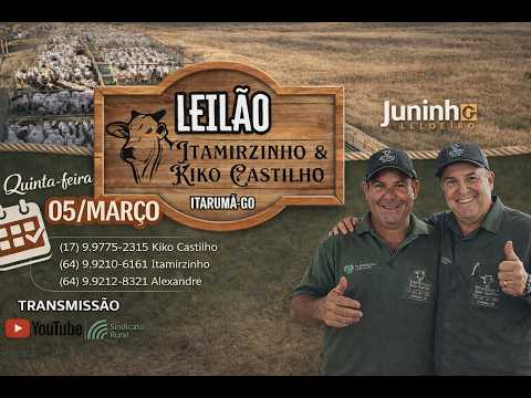 Leilão Parceria SR de Itarumã-GO, Kiko Castilho e Itamirzinho