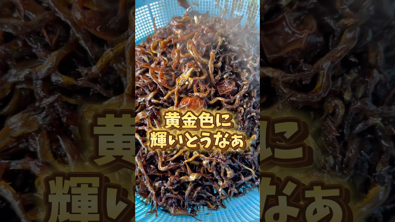 獲れたてイカナゴを漁師の祖父母に『釘煮』にしてもらいます🐟😆‼️ #船長の日常 #淡路島
