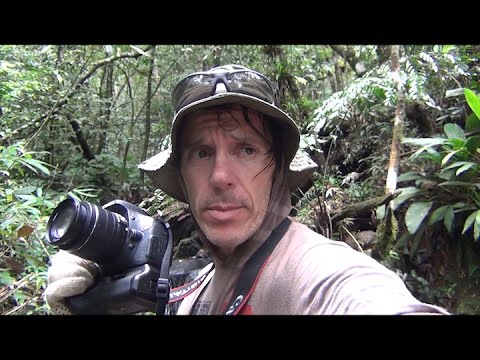 Selva: A Travessia parte 3