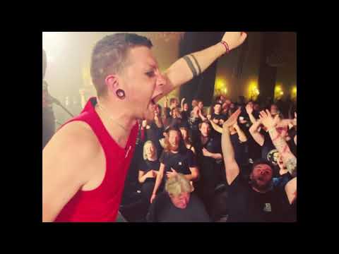 #35 LOS FASTIDIOS live @ Laut Gegen Nazis - Amberg (D) 12.05.2023  (Tourdiary)