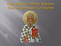 Viața Sfântului Sfințit Mucenic Ciprian Episcopul Cartaginei