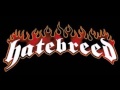 Hatebreed - Through the thorns