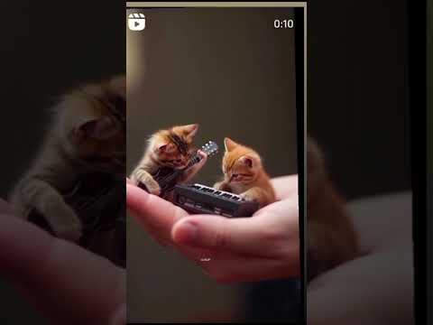 What is this song 🙀🙀🙀