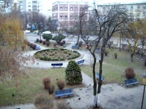 Noisy crows brought by rough winds