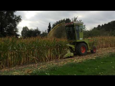 Claas Jaguar 80 SF