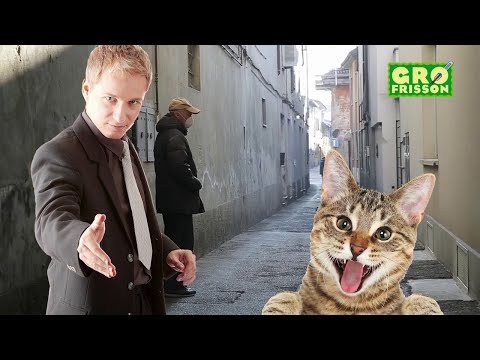 Papillomavirus - Groland - CANAL+