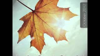 The Fresh & Onlys - Dream Girls