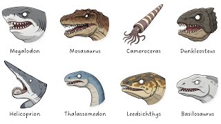 Every Extinct Marine Predator Explained in 9 Minutes