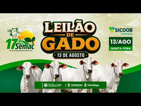 LEILÃO ESPECIAL DE GADO - SINDICATO DOS PROD. RURAIS DE CARNEIRINHO