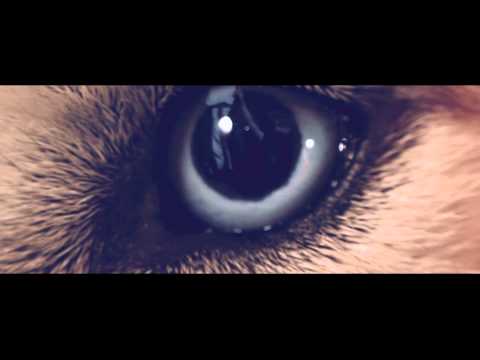 Phil Jay - I Love U [Andres Diamond Remix] [OFFICIAL VIDEO]